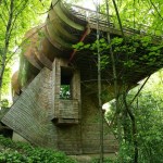 tree_house_1